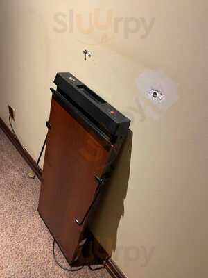 Macdonald Tickled Trout