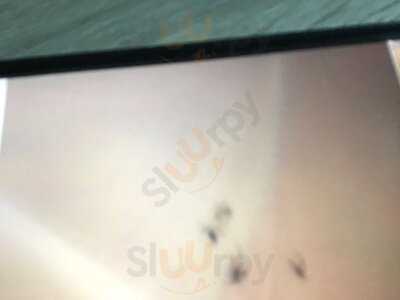 Macdonald Tickled Trout