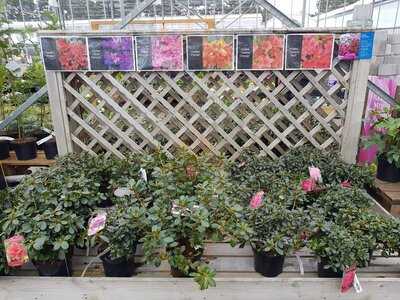 Otter Nurseries Of Lymington