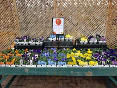 Otter Nurseries Of Lymington