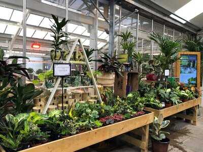 Camellias Restaurant