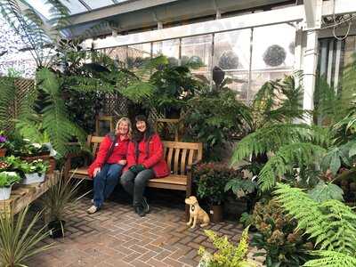 Camellias Restaurant