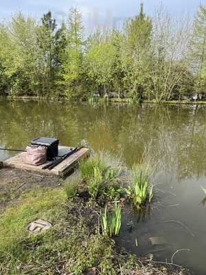 Moss Farm Fisheries Farm Shop & Cafe