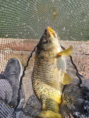 Moss Farm Fisheries Farm Shop & Cafe