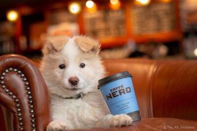 Caffe Nero
