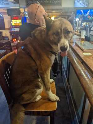 The Old Pear Tree Inn