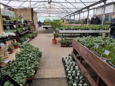 Willington Home And Garden