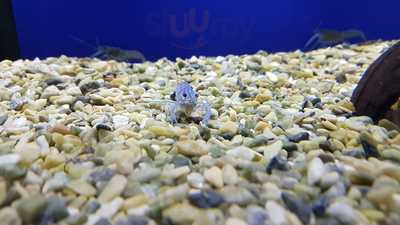 Willington Home And Garden