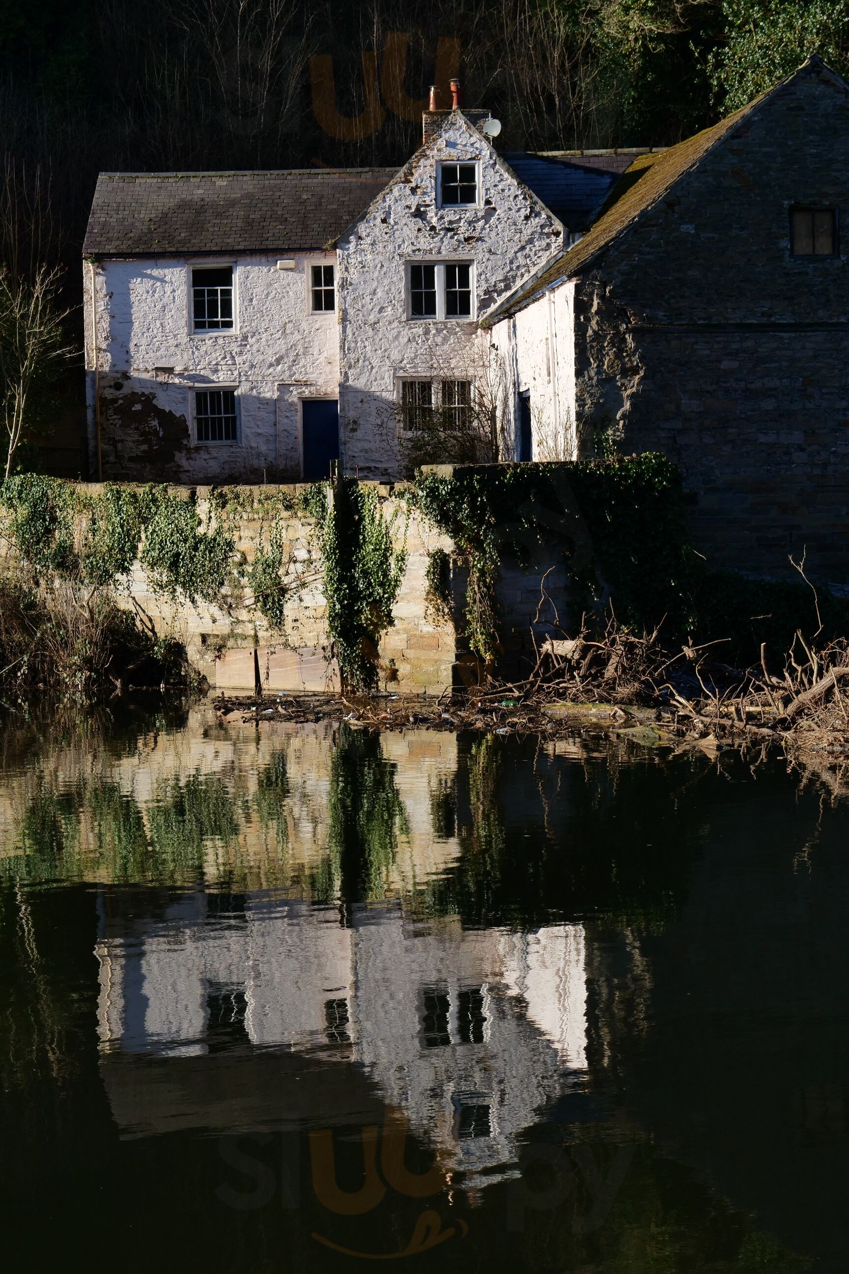 Freddies Fish & Chips