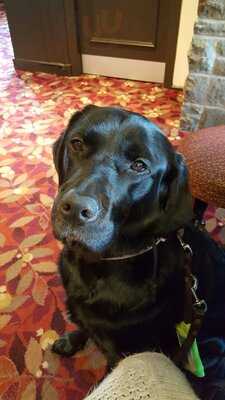 The Black Bull Inn Of Penwortham