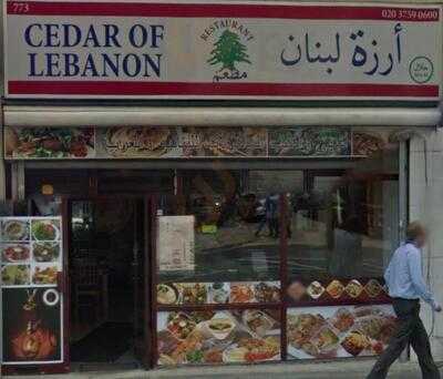 Cedar Of Lebanon