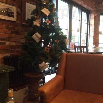 Captain Ridley's Shooting Party