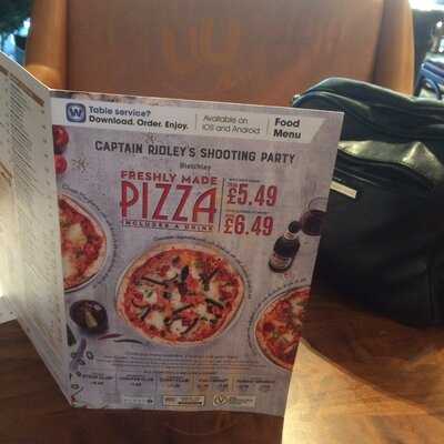 Captain Ridley's Shooting Party