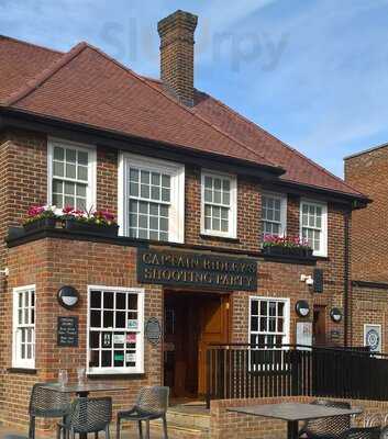 Captain Ridley's Shooting Party