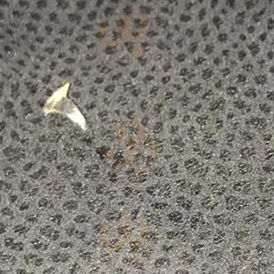 Botchergate Tandoori