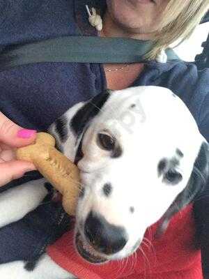 Costa Coffee,  Wyvern Retail Park