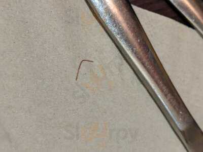 The Moon Under Water