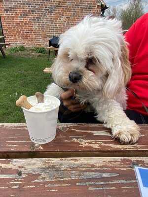 Aldermaston Tea Rooms