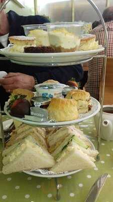 Dobbies Garden Centre Ayr