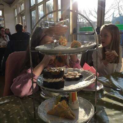 Dobbies Garden Centre Ayr