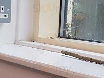 Dobbies Garden Centre Ayr