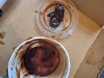 Zanfish In The Village