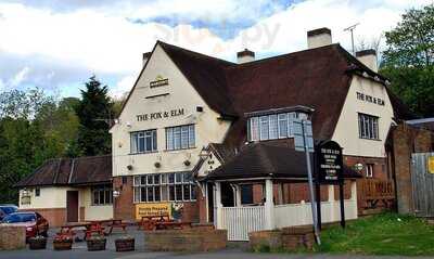 The Fox And Elm