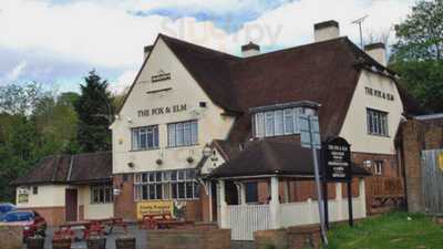 The Fox And Elm