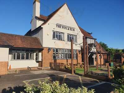 The Fox And Elm