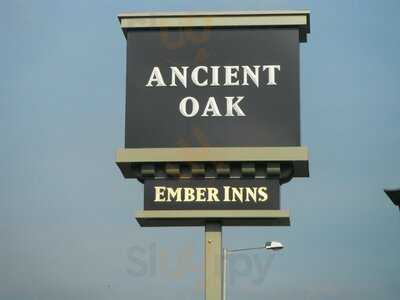 The Ancient Oak