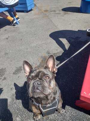 Best Of British Food