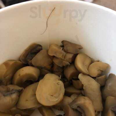 Lily Bs Famous Sandwich Shop