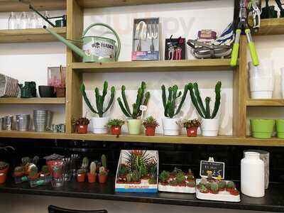 The Bloom Factory Florist Cafe