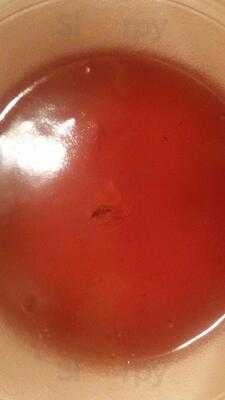 Little Panda Swindon