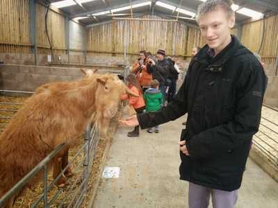 Owl's Cafe At Docker Park Farm