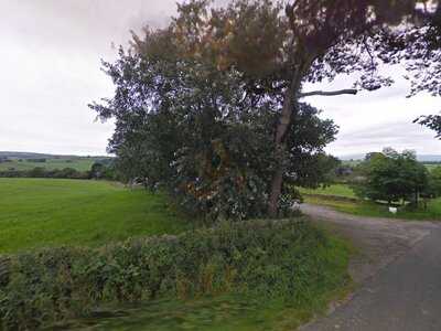 Owl's Cafe At Docker Park Farm