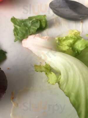 Springfield Garden Centre Restaurant