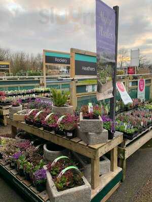 Springfield Garden Centre Restaurant
