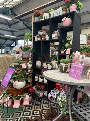 Springfield Garden Centre Restaurant