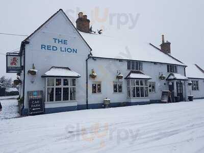 The Red Lion