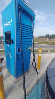 Newton Park Services