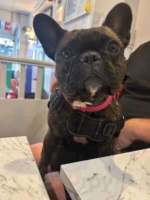 The Queen Elizabeth Cafe