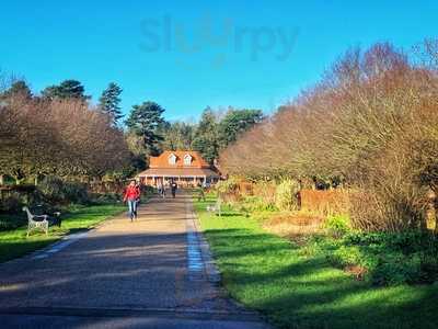 Window At The Park - Pavilion