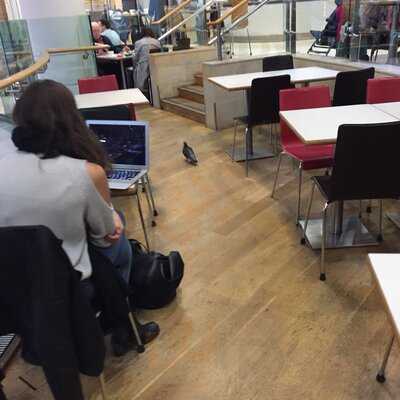 John Lewis And Partners