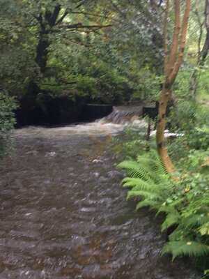 Lliw Reservoir Cafe And Fishery