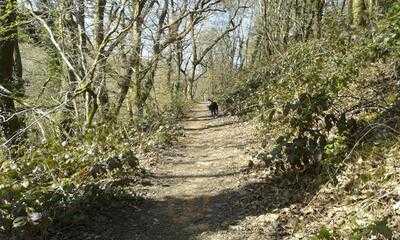 Lliw Reservoir Cafe And Fishery