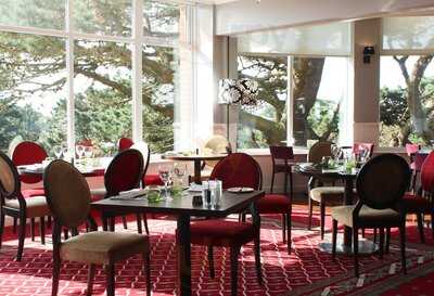 Almafi Chine Restaurant