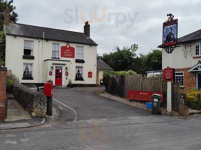 The Prince Albert