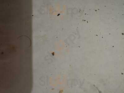 Oregano Leaf Pizzeria