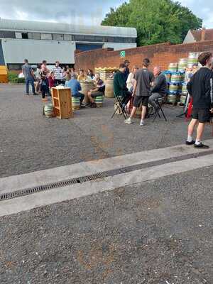 Electric Bear Taproom